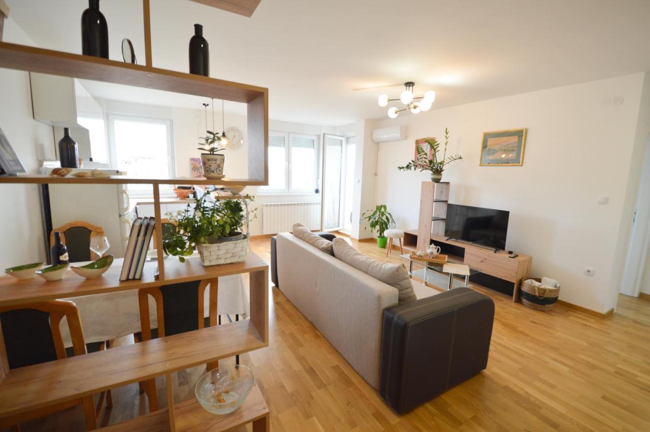 Shine24 - Spacious And Bright Apartment - New نوفي ساد المظهر الخارجي الصورة